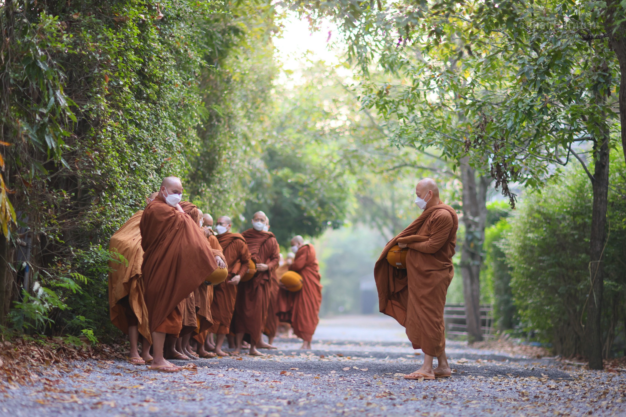 วัดนาป่าพง: ต้นกำเนิดพุทธวจน สายธรรมะที่เปลี่ยนชีวิตคนรุ่นใหม่